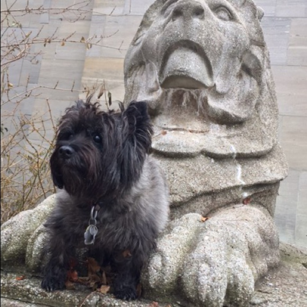 Meet your Posher, Victoria